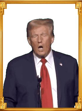 Trump Fight Card