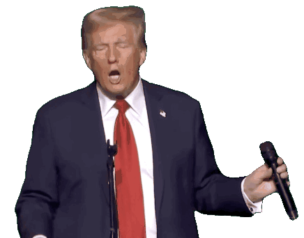 Trump with Fist in Air